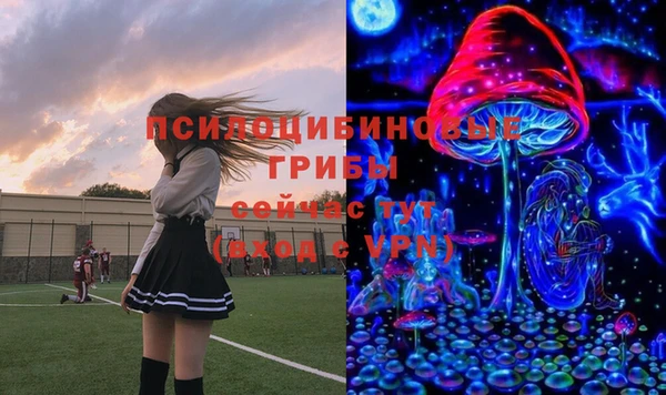 гидропоника Абаза