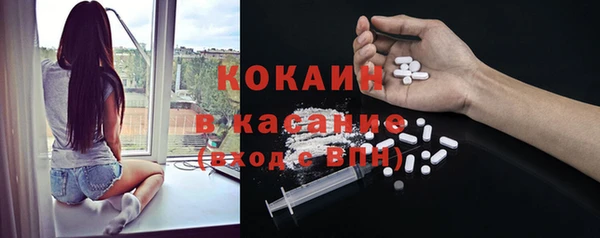 apvp Пестово