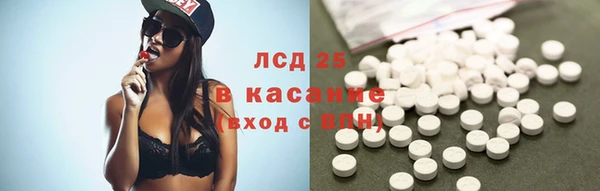 шишки Абинск