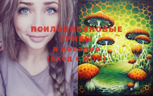 гидропоника Абаза