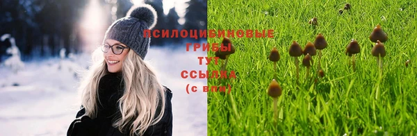 ECSTASY Абдулино