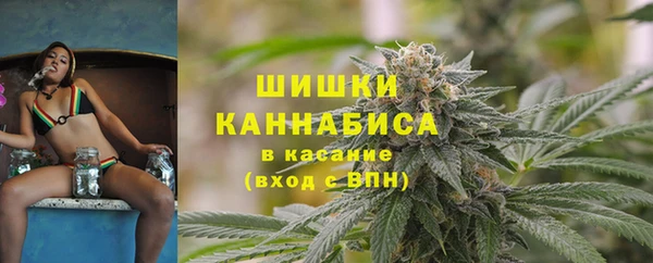 гидропоника Абаза
