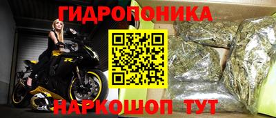 ECSTASY Нальчик