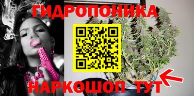 ECSTASY Нальчик