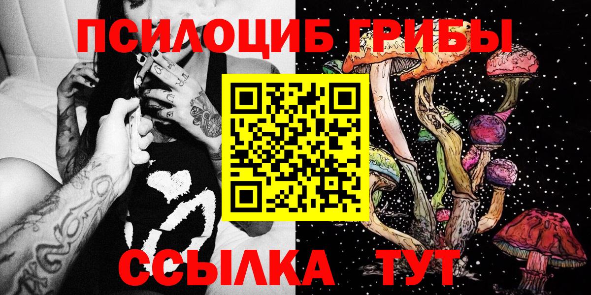 Приморско-Ахтарск  цены   Вход с VPN  Псилоцибиновые грибы Psilocybine cubensis 
